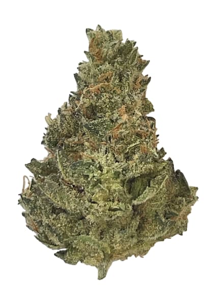 Berries N' Cream P/R - 3 x 0.5g (Prime Bloom)