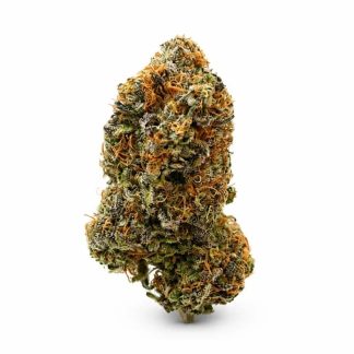 Blue Zushi - 3.5g (Saltspring Magic)