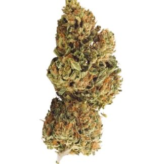 Certified Organic CBD Flower - 7g (Grown Here)