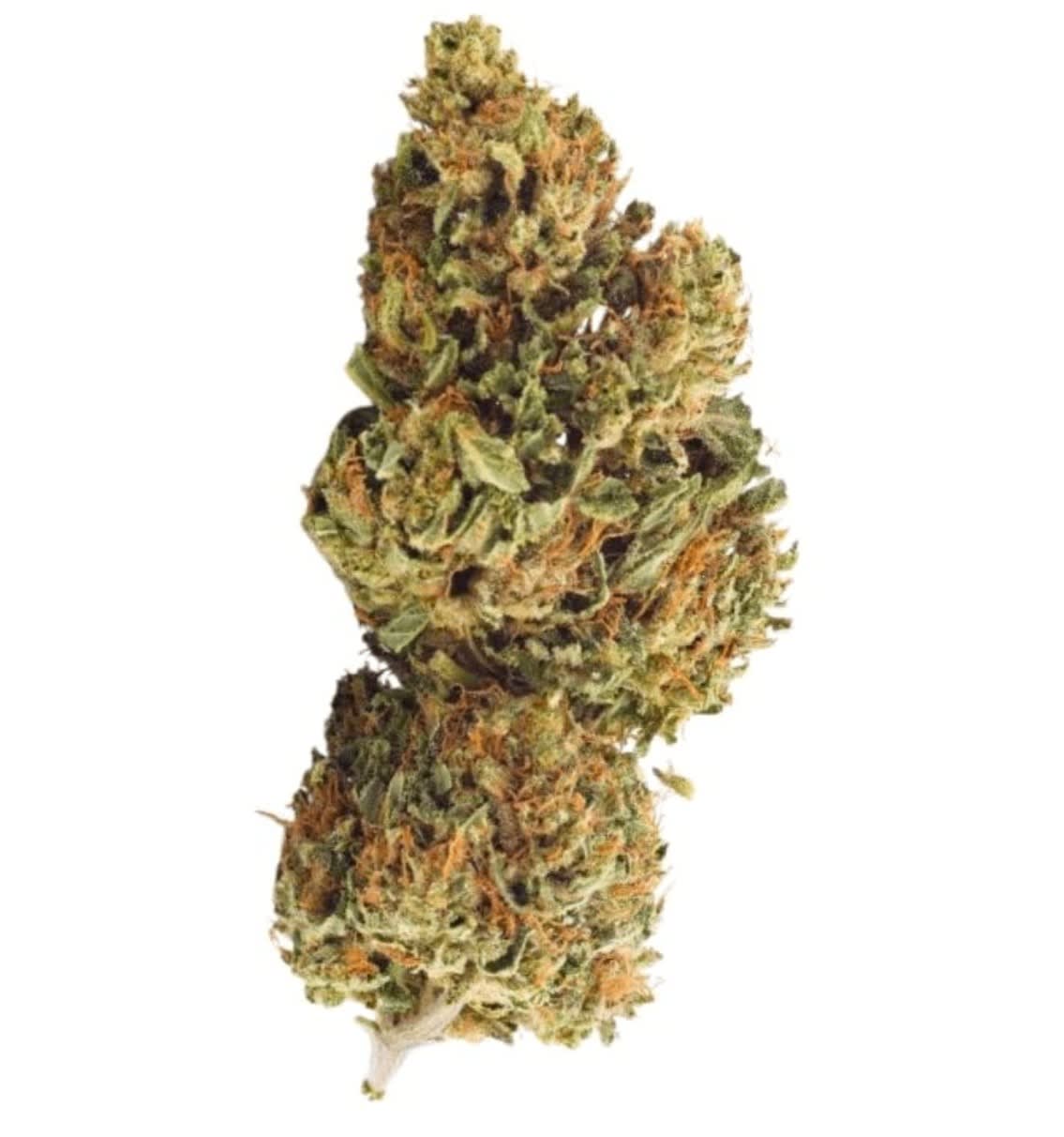 Certified Organic CBD Flower - 7g (Grown Here)