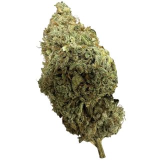 Trop Z - 7g (Zevk Cultivation)