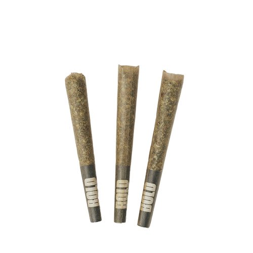 Root Beer Float P/R - 3 x 0.5g (Bold)