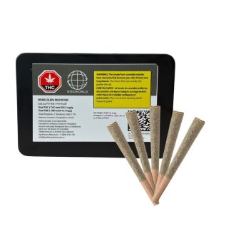 Bong Guru Rockstar P/R - 5 x 0.5g (Rogworld)