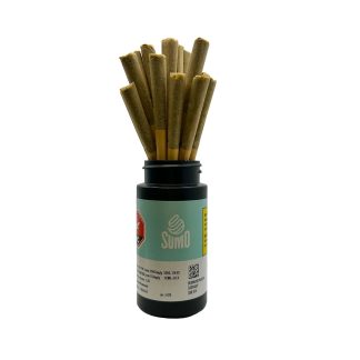 Cement Shoes P/R - 20 x 0.5g (Sumo)