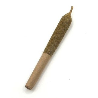Fast Orange x Grapefruit Kief Coated Live Rosin Infused P/R - 5 x 0.5g (Cosmic)