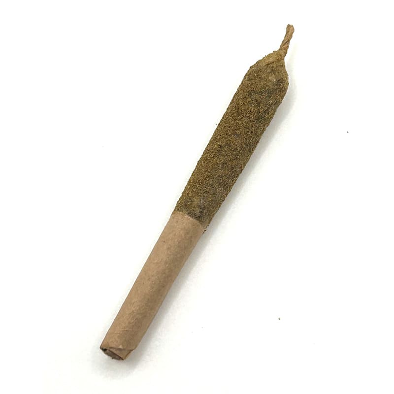 Fast Orange x Grapefruit Kief Coated Live Rosin Infused P/R - 5 x 0.5g (Cosmic)