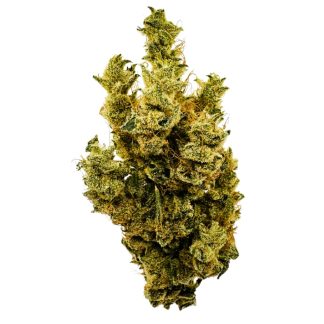 Banana Mango - 3.5g (BC Weed Co)