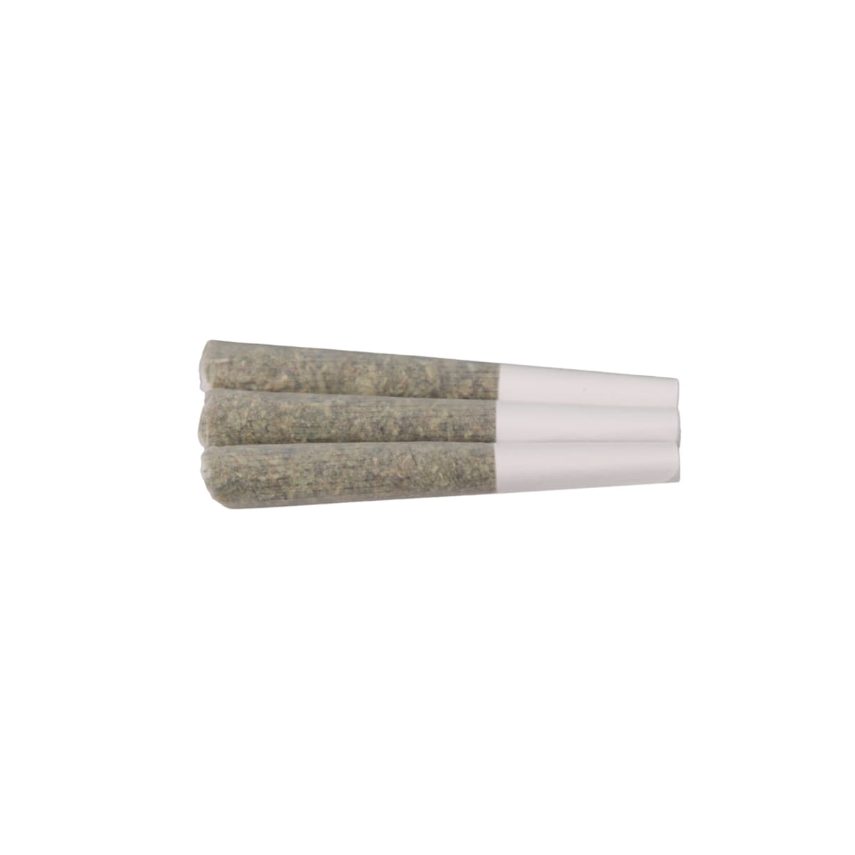The White P/R - 3 x 0.5g (Prime Bloom)