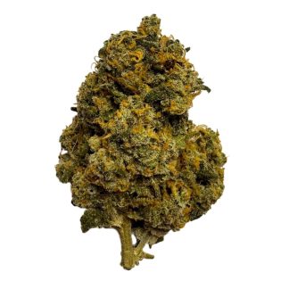 Citrus Tsunami - 3.5g (Electric Lettuce)