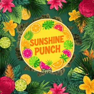 Sunshine Punch - 3.5g (Zippy)