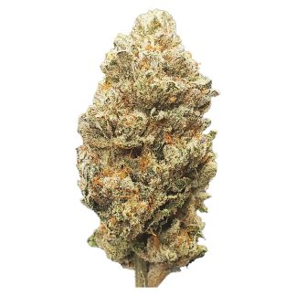Blueberry Shizzle Smalls - 7g (Papa Joe's Organics)