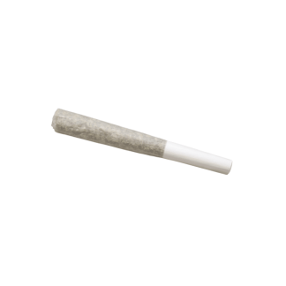 Truffle Treats P/R - 1 x 0.5g (Truro Cannabis)
