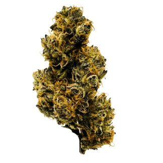 Peanut Butter Breath - 7g (BC Weed Co)
