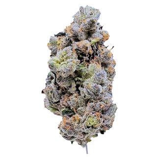 Platinum Blue Gellati - 3.5g (Lahoja)