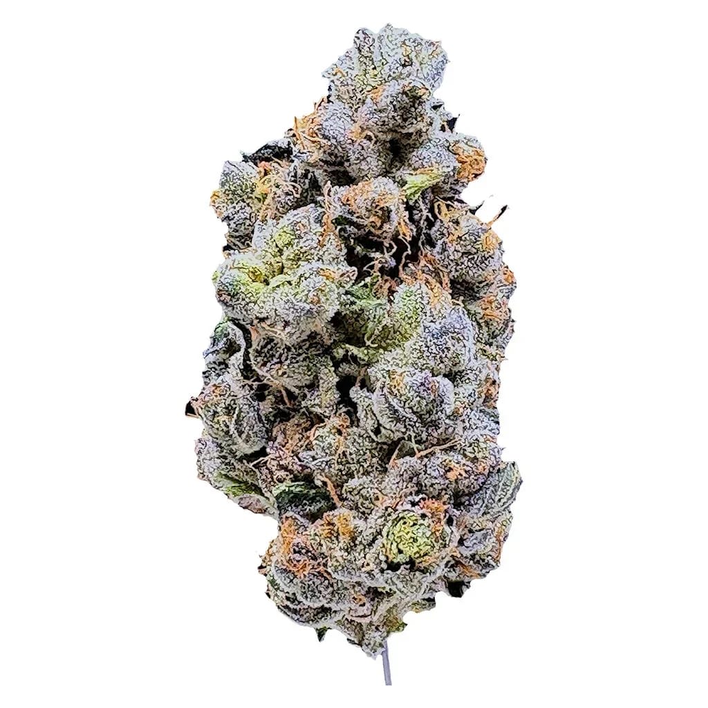 Platinum Blue Gellati - 3.5g (Lahoja)