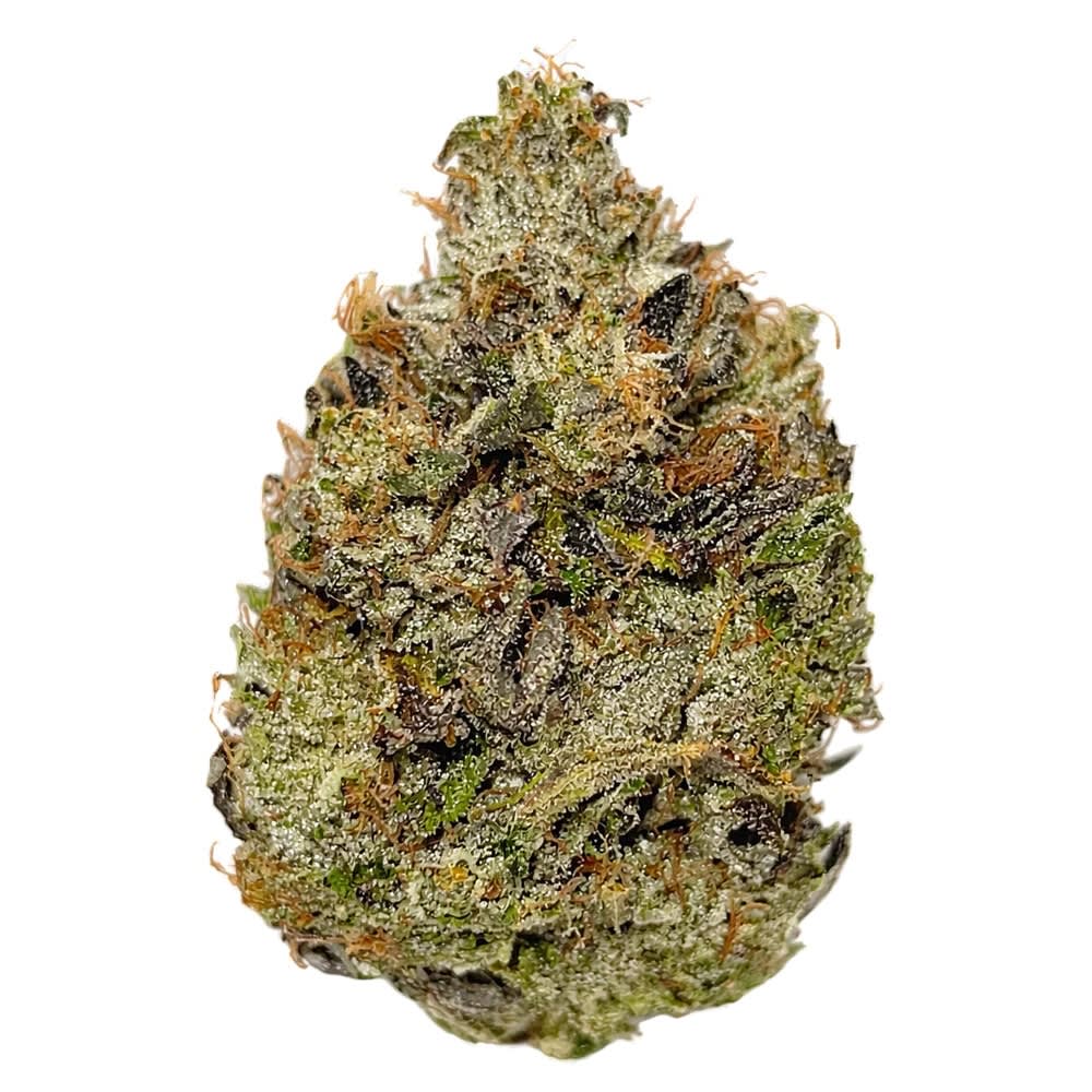 Source photograph: Timmy’s OG Shark –