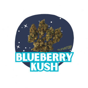 Blueberry Kush P/R's - 10x0.5g (Elevator)