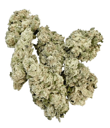 Source photograph: Bud Time Stories –