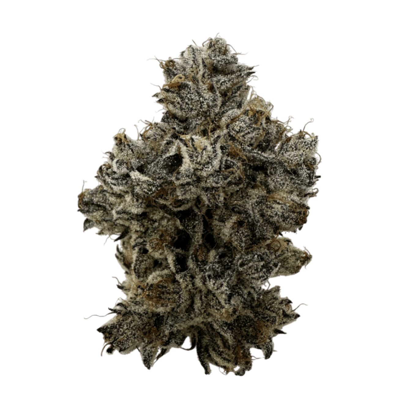 Colorado Night Shifter - 7g (Zevk Cultivation)
