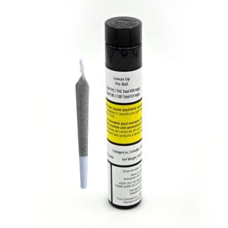 Lemon-Up P/R - 1 x 0.5g (Truro)