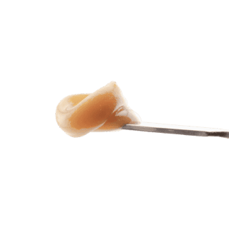 Pineapple Garlic Live Rosin - 1g (EarthWolf Farms)