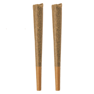 Glazed Indica P/R - 2 x 1g (Bold)