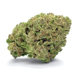 Hella Jella - 14g (Saltspring Magic)