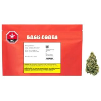 Galactic Jack - 28g (Back Forty)