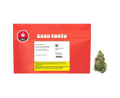 Galactic Jack - 28g (Back Forty)