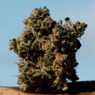 Hippie Headbanger Smalls - 28g (Saltspring Magic)