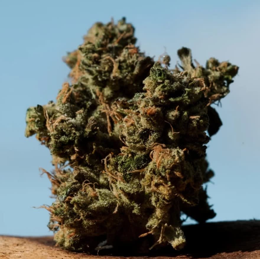 Hippie Headbanger Smalls - 28g (Saltspring Magic)